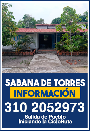 Sabana de Torres